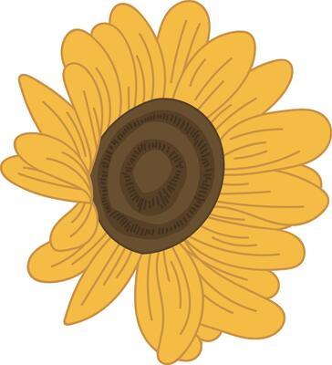 Sunflower with Detailed Petals Natural