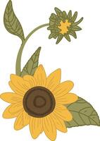 Sunflower with Leaves and Bud Element vector