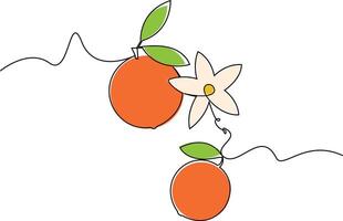 Single Line Orange Fruit and Flower Icon, Minimal Orange and Blossom, perfect for summer, healthy food, packaging, or organic product Illustration. vector