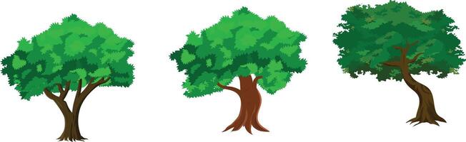 Cartoon Tree Set with 3 Green Leafy Forest Trees for Animation Background, Village Nature Scene, Jungle Game Asset, Storytelling Landscape vector