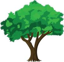 Cartoon Green Tree with Bright Leaves and Brown Trunk for Animation Background, Forest Jungle Scene, Game Asset or Educational Nature Project Illustration vector