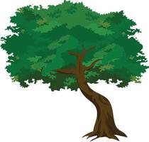 Cartoon Tree with Curved Brown Trunk and Dense Green Foliage for Animation Background, Village Landscape Scene, Jungle Game Asset or Educational Explainer Design vector
