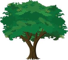 Cartoon Green Tree Illustration with Dense Foliage for Animation Background, Nature Game Scene, Village Landscape or Educational and Explainer Videos vector