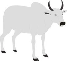 A white cow with horns standing on a white background.Cartoon Cow or Ox Side View - Animal Character Illustration for Animation, Farm Scene, Mascot Design, Children Story Projects vector