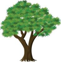 Cartoon Green Tree with Dense Leaves and Dual Brown Trunk for Animation Background, Nature Landscape, Village Scene or Tropical Game Asset Illustration vector