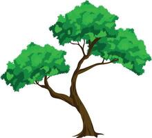 Cartoon Big Green Tree Isolated on white. Oak with Thick Trunk and Roots for Animation vector