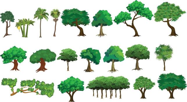 Cartoon Tree Set for Animation with Tropical, Palm, Forest and Jungle Trees. Game Asset or Nature Background Elements.Various trees and plants on a white background vector