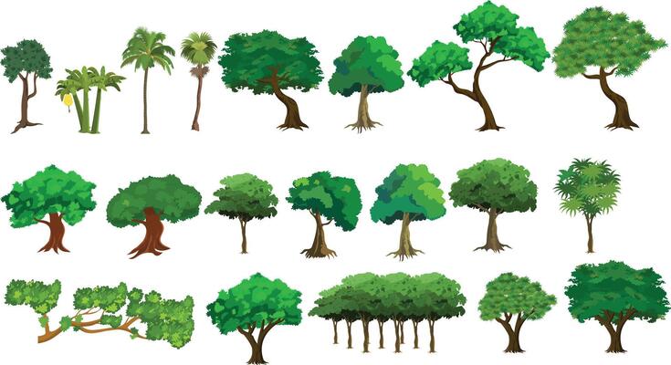 Cartoon Tree Set for Animation with Tropical, Palm, Forest and Jungle Trees. Game Asset or Nature Background Elements.Various trees and plants on a white background