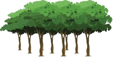 Cartoon Forest Tree Set with Dense Green Tree Line for Animation Background, Game Environment, Explainer , 2D Nature Landscape, Jungle Scene or Educational Forest Illustration vector