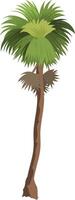 Cartoon Palm Tree with Curved Trunk and Tropical Leaves for Animation Background, Jungle or Island Game Scene, Summer Explainer Illustration vector