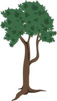 Cartoon Tall Tree Isolated on white. Forest Tree Clipart with Long Trunk and Green Foliage for Animation, Nature Illustration, Educational or Game Design Projects vector