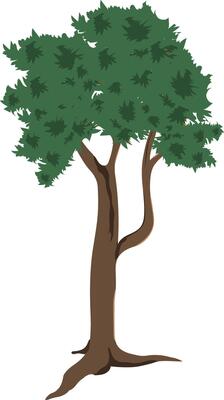 Cartoon Tall Tree Isolated on white. Forest Tree Clipart with Long Trunk and Green Foliage for Animation, Nature Illustration, Educational or Game Design Projects