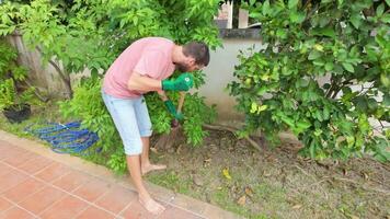 Man cleaning garden with rake and gloves video