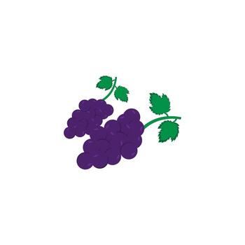 icon of grapes flat design simple web design, Creative illustration concept symbol for web or mobile app eps 10 vector