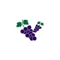 icon of grapes flat design simple web design, Creative illustration concept symbol for web or mobile app with white line vector