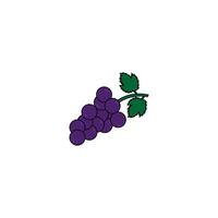 icon of grapes flat design with stroke line simple web design, Creative illustration concept symbol for web or mobile app eps 10 vector