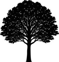 Silhouette of a large deciduous tree with dense foliage and strong branches vector
