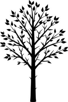 Silhouette of a Branching Tree with Many Leaves vector