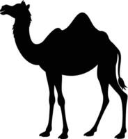 Silhouette of a Camel in Desert Environment vector
