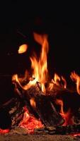Vertical of Cozy Fireplace with Burning Logs, A warm fire blazes in a rustic stone fireplace, with glowing embers and vertical flames. video