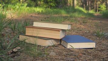 Stack of Books on Forest Path in Summer Light, Pile of hardcover books lying on a pine forest trail with green grass and soft sunlight video