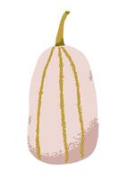 Fall autumn pumpkin for thanksgiving holiday. Flat trendy illustration with hand drawn texture vector
