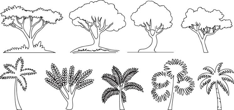 Set of Eight Black and White Line Drawings of Various Trees Including Palm Trees and Deciduous Trees Side View vector