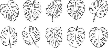 Ten Outline Drawings of Tropical Monstera Leaves in Black on White Background Set One Continuous Line Art Style Botanical Illustration vector