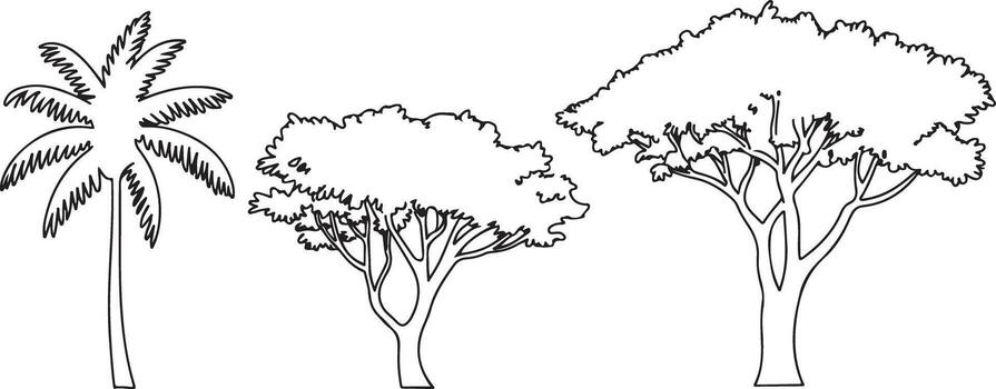 Three Black Line Drawing Trees Side View Set Palm Tree Deciduous Trees Traced Silhouette Graphic vector