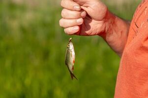 A man holding a fish in his hand photo