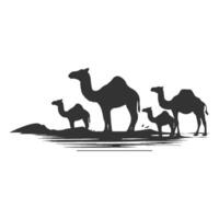 Silhouette of a mother camel and her calf walking across desert dunes vector