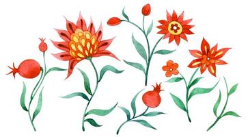 Watercolor set in folk style with flowers and pomegranate fruits. ornate ornament vector