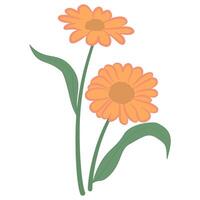 Simple stylized blooming orange flower with leaves on stem, doodle flat illustration vector