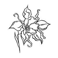 flower art for outline decor coloring vector