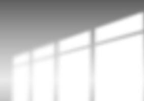 Window reflections and light vector