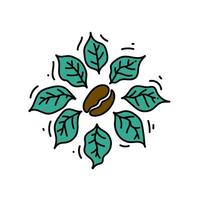 coffee bean and leaves hand drawn illustration vector