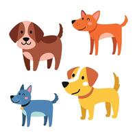 Adorable Puppy Standing with Collar on White background vector