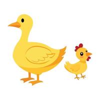 Baby Duck Walking With Mother Happily on White Background vector