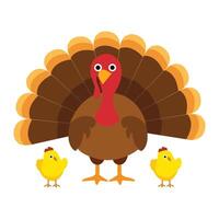 Cute Little Chicken Pecking with Turkey hen on White Background vector