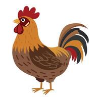 Funny Rooster Standing Proudly on White Background vector