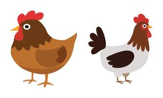 Village Style Rooster Crowing on White Background vector