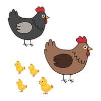 Adorable Baby Chick Walking hen on White Background vector