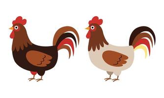 Colorful Rooster with cute Eyes on White Background vector