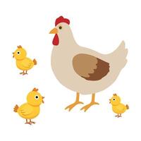 Smiling Hen and Chick Duo on White Background vector