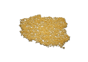Poland Map Made Of High Quality Premium Golden Shiny Metallic Beads Or Balls 3D Illustration png