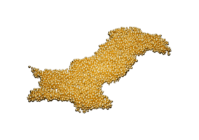 Pakistan Map Made Of High Quality Premium Golden Shiny Metallic Beads Or Balls 3D Illustration png