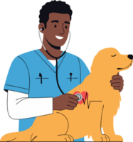 Veterinarian in Scrubs Examining Happy Golden Retriever with Stethoscope in Clinic Setting png