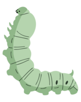 Vibrant Green Caterpillar Crawling Through a Lush Garden with a Charming and Whimsical Appearance png