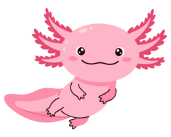 Happy Pink Axolotl Swimming Underwater in a Friendly and Playful Environment, Perfect for Animal Lovers and Amphibian Enthusiasts png