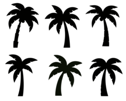 Silhouettes of Tropical Trees Against a Sunset Sky Ideal for Relaxing Vacation Concepts in Nature and Travel Photography png